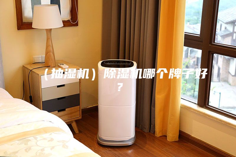 （抽濕機）除濕機哪個牌子好？