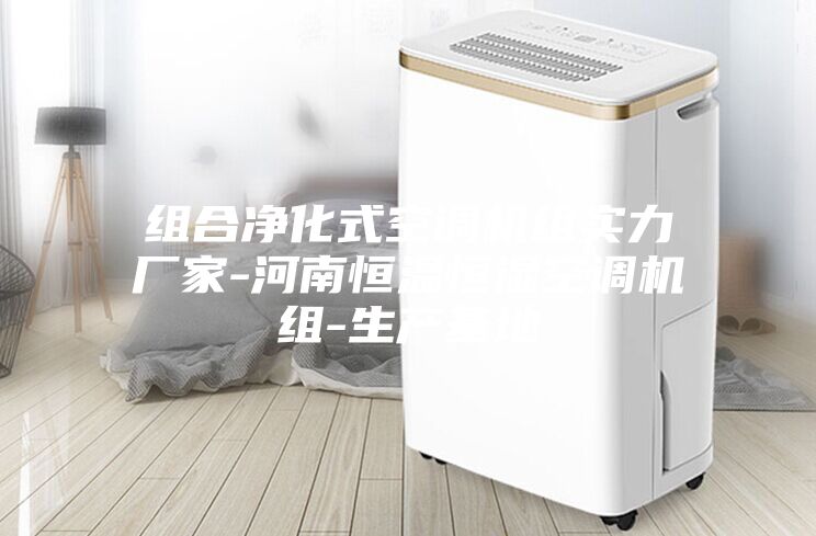 組合凈化式空調(diào)機(jī)組實力廠家-河南恒溫恒濕空調(diào)機(jī)組-生產(chǎn)基地