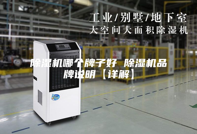 除濕機(jī)哪個牌子好 除濕機(jī)品牌說明【詳解】