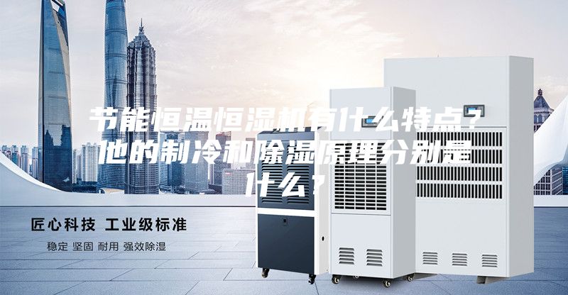 節(jié)能恒溫恒濕機有什么特點？他的制冷和除濕原理分別是什么？