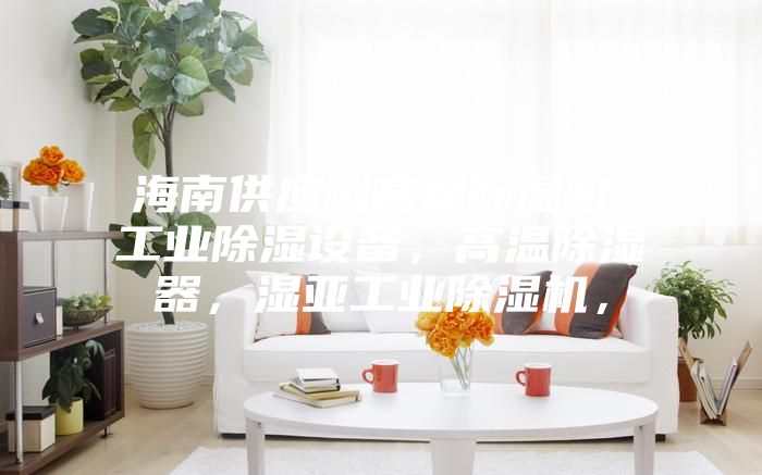 海南供應(yīng)耐高溫除濕機(jī)，工業(yè)除濕設(shè)備，高溫除濕器，濕亞工業(yè)除濕機(jī)，