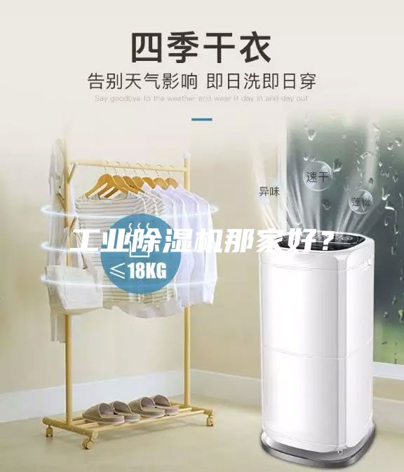 工業(yè)除濕機(jī)那家好？