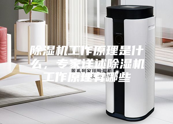 除濕機工作原理是什么，專家詳述除濕機工作原理有哪些