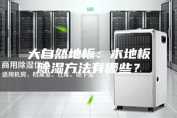 大自然地板：木地板除濕方法有哪些？