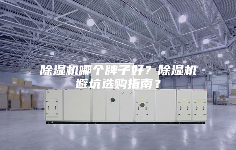 除濕機哪個牌子好？除濕機避坑選購指南？