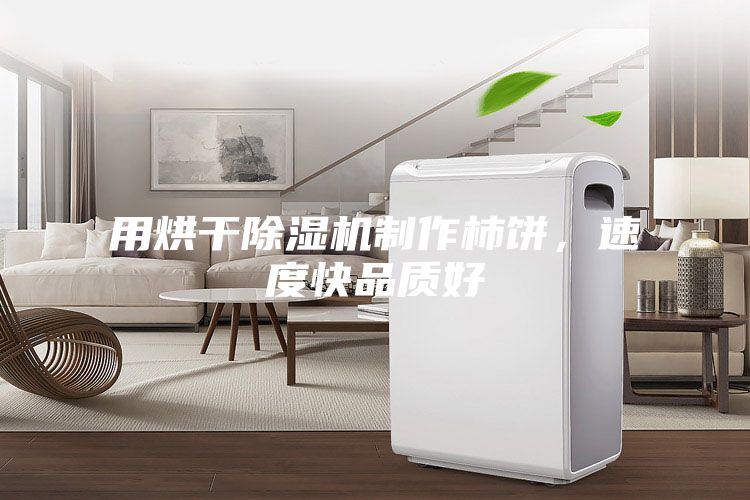 用烘干除濕機制作柿餅，速度快品質(zhì)好