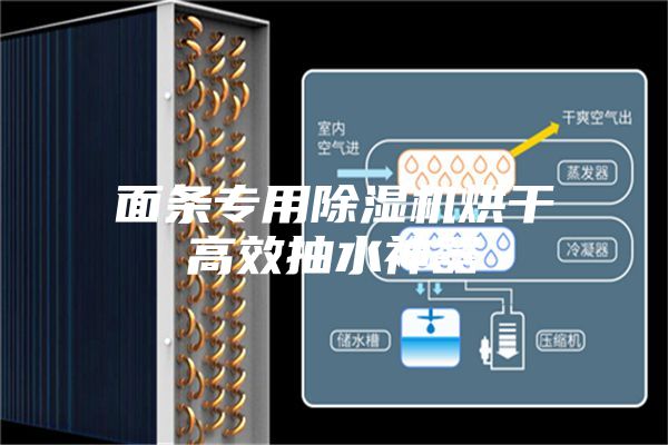 面條專(zhuān)用除濕機(jī)烘干高效抽水神器