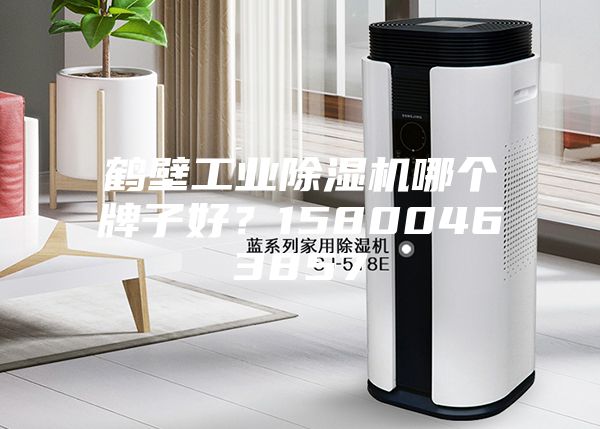 鶴壁工業(yè)除濕機(jī)哪個牌子好？15800463857