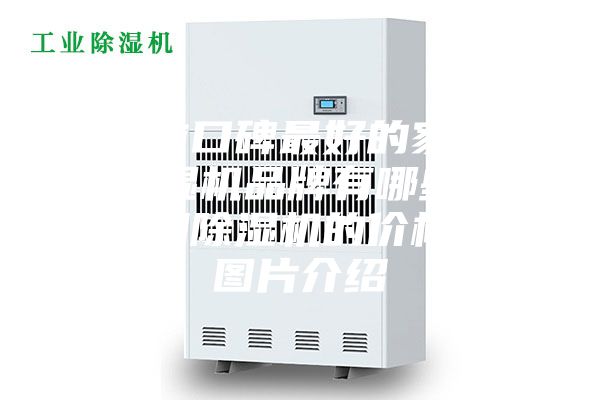 目前口碑最好的家用除濕機(jī)品牌有哪些？家用除濕機(jī)的價(jià)格和圖片介紹