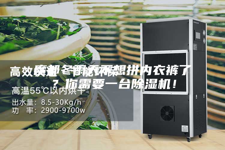 魔都冬雨天不想拼內(nèi)衣褲了？你需要一臺除濕機(jī)！