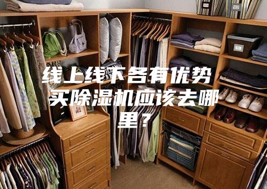 線上線下各有優(yōu)勢 買除濕機應(yīng)該去哪里？