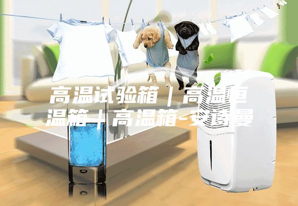 高溫試驗(yàn)箱｜高溫恒溫箱｜高溫箱-安詩(shī)曼