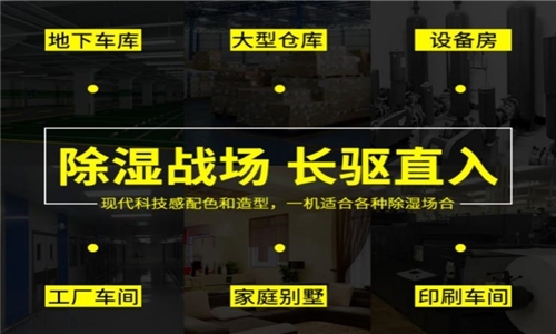 秋冬防濕冷，家里怎么除濕最好？