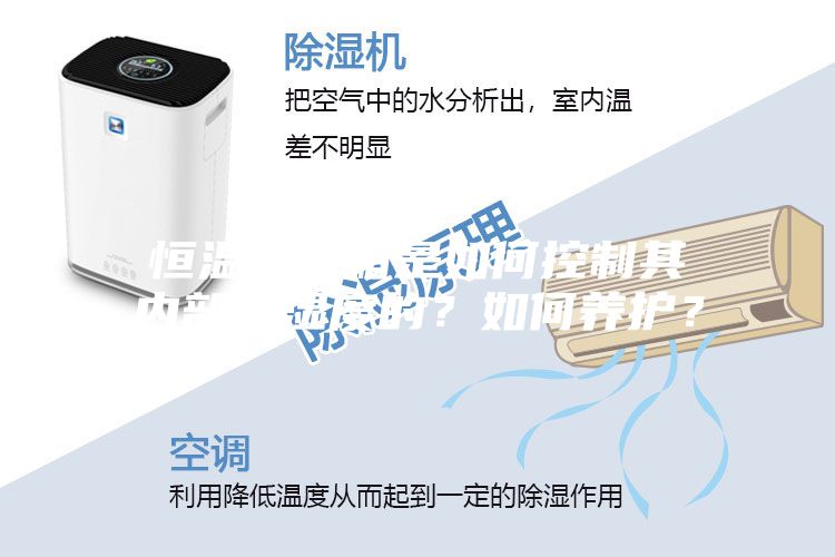 恒溫恒濕箱是如何控制其內(nèi)部溫濕度的？如何養(yǎng)護(hù)？