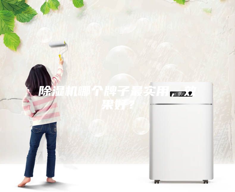 除濕機(jī)哪個(gè)牌子最實(shí)用，效果好？