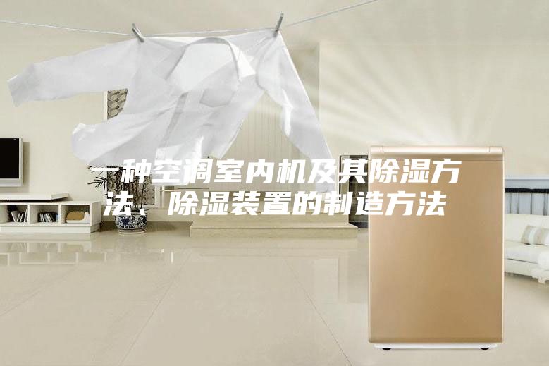 一種空調(diào)室內(nèi)機(jī)及其除濕方法、除濕裝置的制造方法