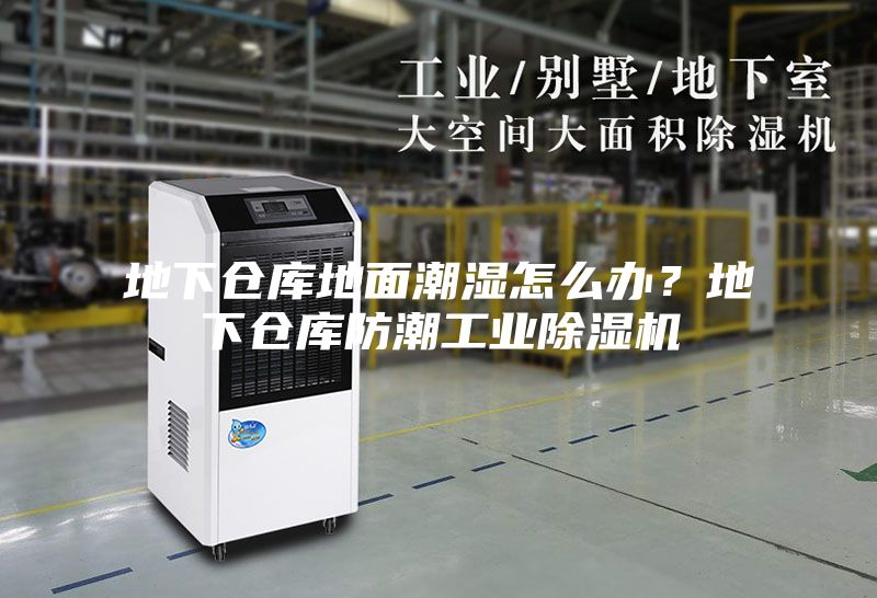 地下倉庫地面潮濕怎么辦？地下倉庫防潮工業(yè)除濕機