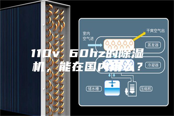 110v 60hz的除濕機，能在國內(nèi)用么？