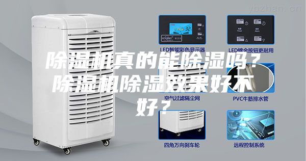 除濕機真的能除濕嗎？除濕機除濕效果好不好？