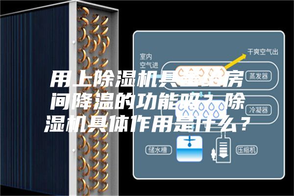 用上除濕機(jī)具備給房間降溫的功能嗎？除濕機(jī)具體作用是什么？