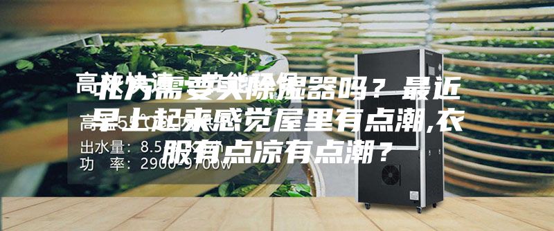 北方需要買除濕器嗎？最近早上起來感覺屋里有點潮,衣服有點涼有點潮？