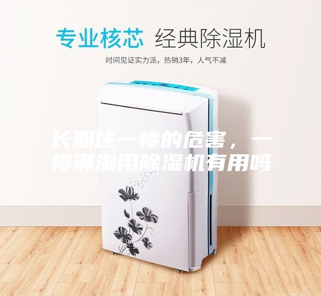 長期住一樓的危害，一樓潮濕用除濕機有用嗎