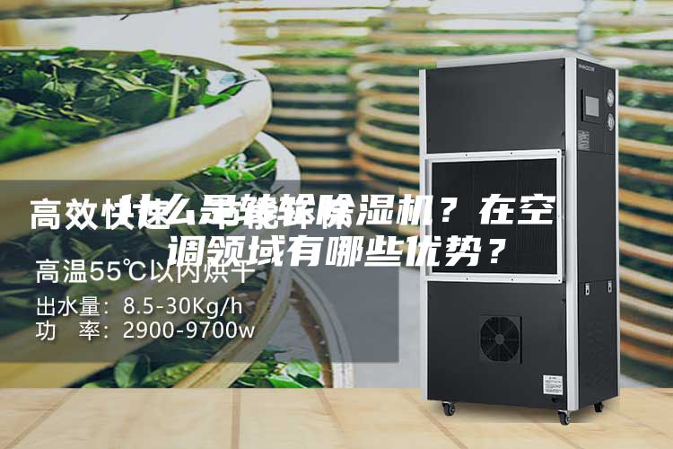 什么是轉(zhuǎn)輪除濕機(jī)？在空調(diào)領(lǐng)域有哪些優(yōu)勢？