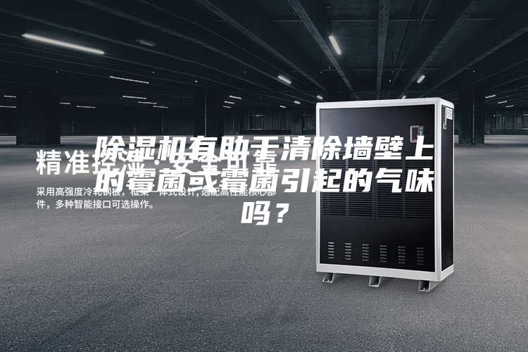 除濕機(jī)有助于清除墻壁上的霉菌或霉菌引起的氣味嗎？