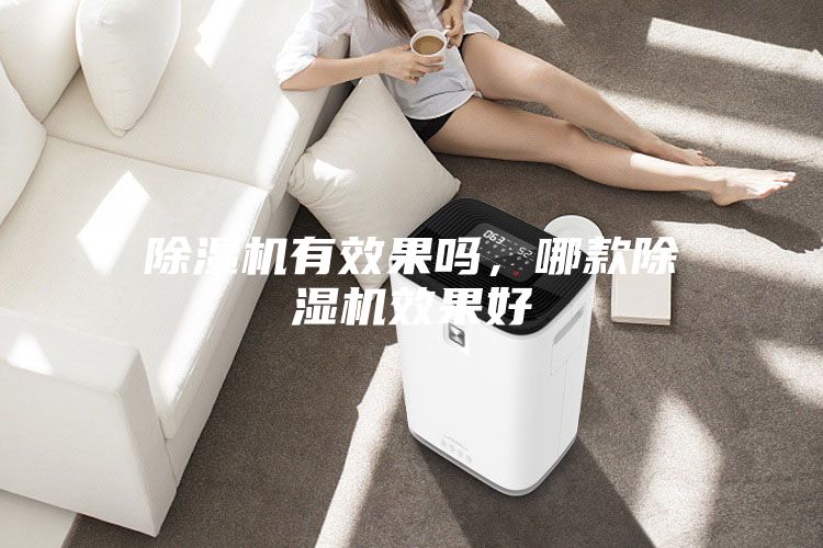 除濕機(jī)有效果嗎，哪款除濕機(jī)效果好