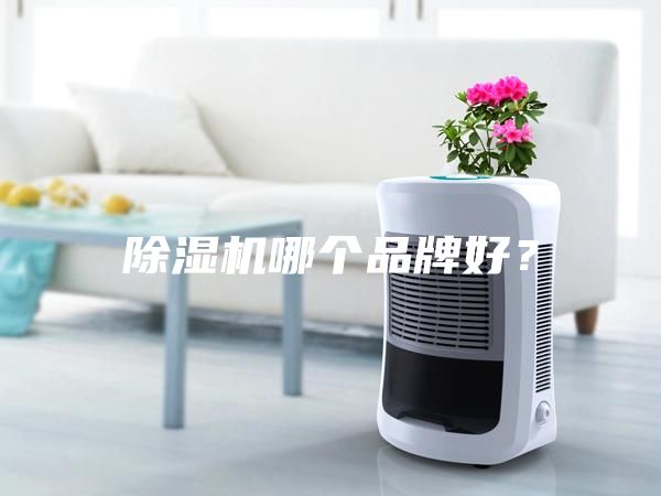 除濕機(jī)哪個(gè)品牌好？