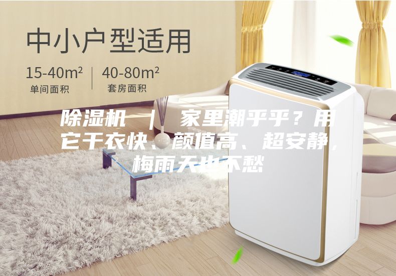 除濕機 ｜ 家里潮乎乎？用它干衣快、顏值高、超安靜，梅雨天也不愁