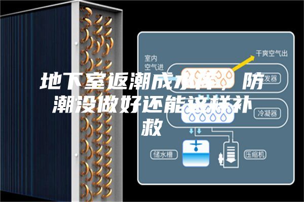 地下室返潮成水庫，防潮沒做好還能這樣補救