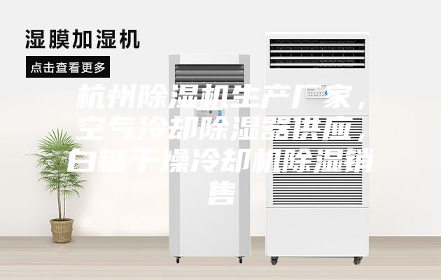 杭州除濕機(jī)生產(chǎn)廠家，空氣冷卻除濕器供應(yīng)，白糖干燥冷卻機(jī)除濕銷售