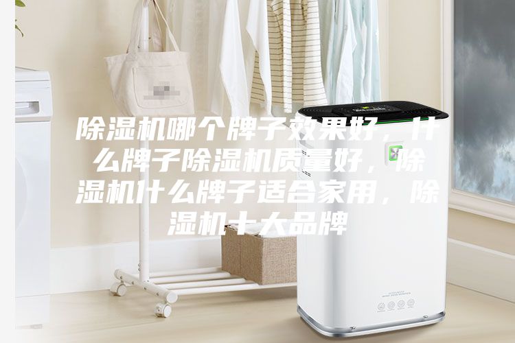除濕機(jī)哪個(gè)牌子效果好，什么牌子除濕機(jī)質(zhì)量好，除濕機(jī)什么牌子適合家用，除濕機(jī)十大品牌
