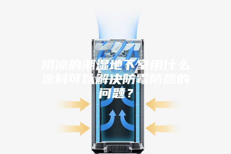 陰涼的潮濕地下室用什么涂料可以解決防霉防腐的問題？