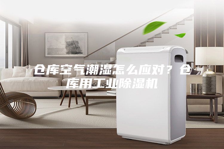 倉庫空氣潮濕怎么應(yīng)對(duì)？倉庫用工業(yè)除濕機(jī)