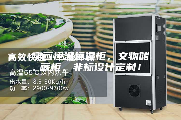 字畫(huà)恒溫恒濕柜，文物儲(chǔ)藏柜，非標(biāo)設(shè)計(jì)定制！