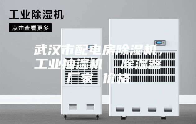 武漢市配電房除濕機(jī)，工業(yè)抽濕機(jī)  除濕器廠家 價(jià)格