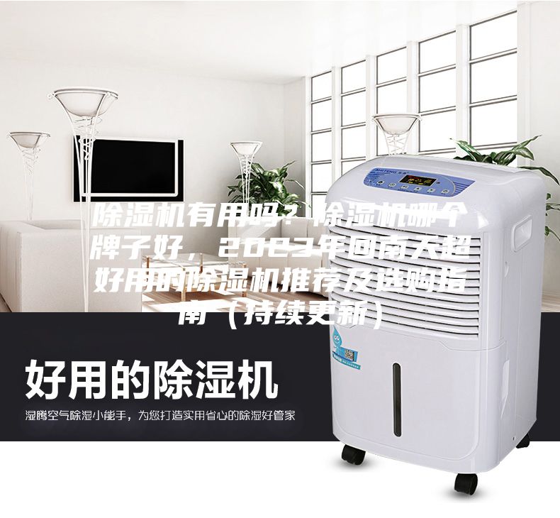 除濕機(jī)有用嗎？除濕機(jī)哪個(gè)牌子好，2023年回南天超好用的除濕機(jī)推薦及選購(gòu)指南（持續(xù)更新）
