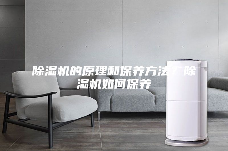 除濕機(jī)的原理和保養(yǎng)方法？除濕機(jī)如何保養(yǎng)