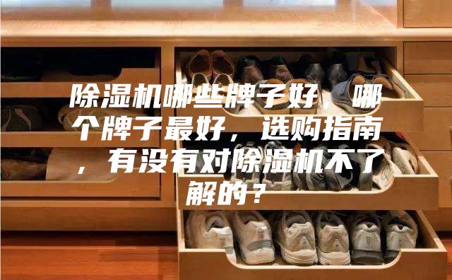 除濕機哪些牌子好，哪個牌子最好，選購指南，有沒有對除濕機不了解的？