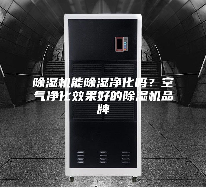 除濕機(jī)能除濕凈化嗎？空氣凈化效果好的除濕機(jī)品牌