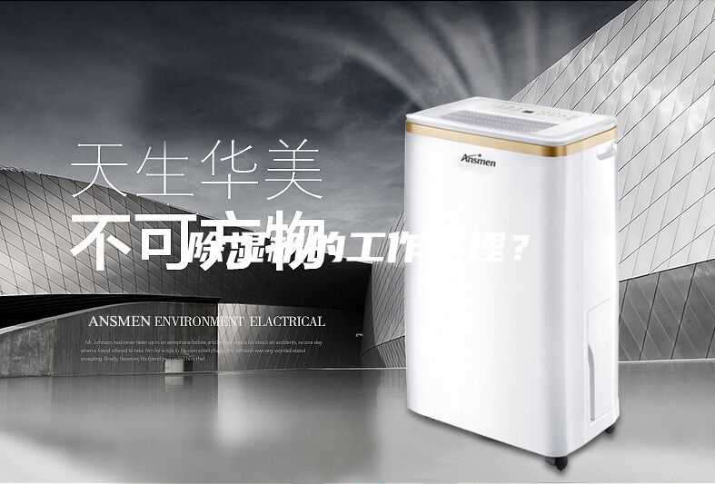除濕機(jī)的工作原理？