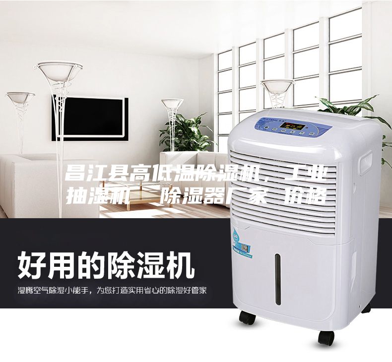 昌江縣高低溫除濕機(jī)，工業(yè)抽濕機(jī)  除濕器廠家 價(jià)格