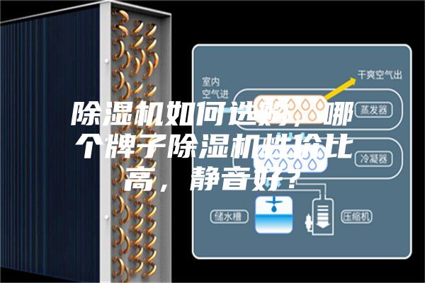 除濕機(jī)如何選購(gòu)，哪個(gè)牌子除濕機(jī)性價(jià)比高，靜音好？