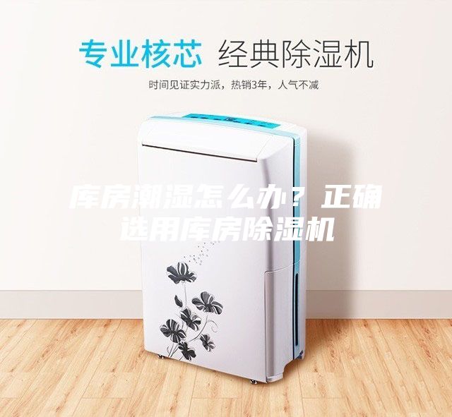 庫房潮濕怎么辦？正確選用庫房除濕機