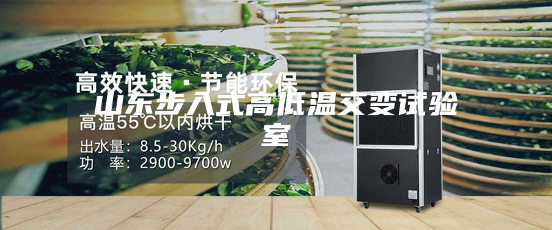 山東步入式高低溫交變試驗(yàn)室