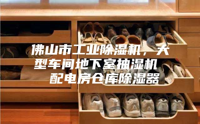 佛山市工業(yè)除濕機，大型車間地下室抽濕機  配電房倉庫除濕器