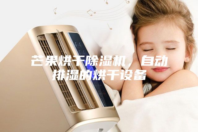 芒果烘干除濕機(jī)，自動(dòng)排濕的烘干設(shè)備