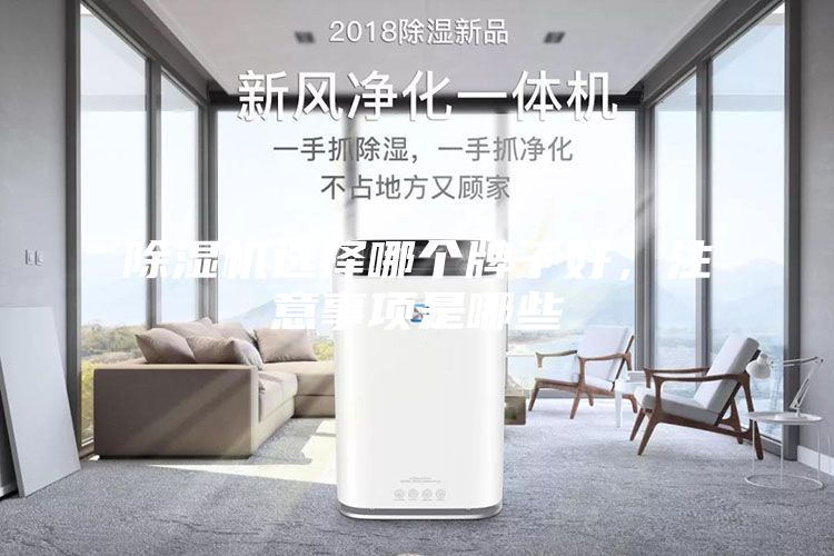 除濕機選擇哪個牌子好，注意事項是哪些